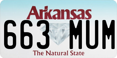 AR license plate 663MUM