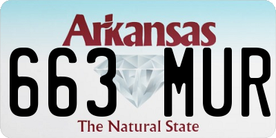 AR license plate 663MUR