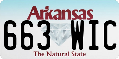 AR license plate 663WIC