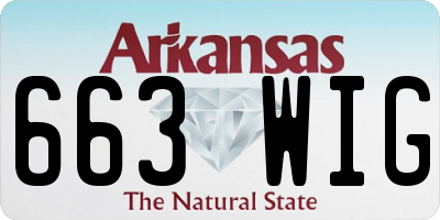 AR license plate 663WIG