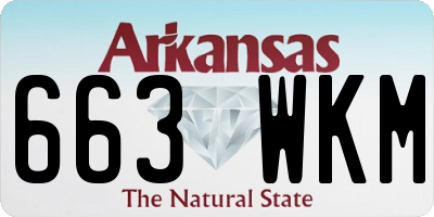 AR license plate 663WKM