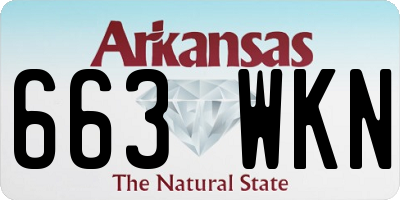 AR license plate 663WKN