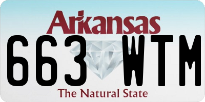 AR license plate 663WTM