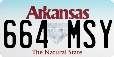 AR license plate 664MSY