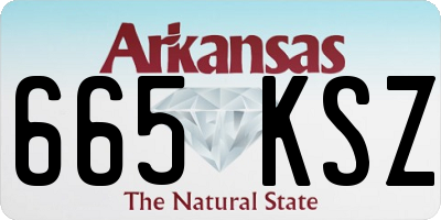 AR license plate 665KSZ