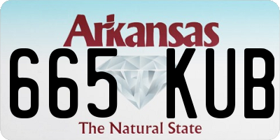 AR license plate 665KUB