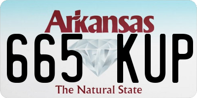 AR license plate 665KUP