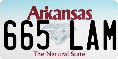 AR license plate 665LAM