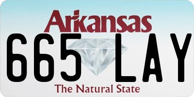 AR license plate 665LAY