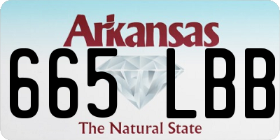 AR license plate 665LBB