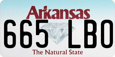 AR license plate 665LBO