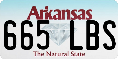 AR license plate 665LBS