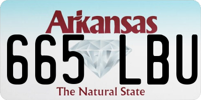 AR license plate 665LBU