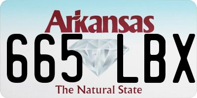 AR license plate 665LBX