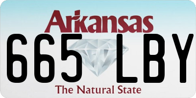 AR license plate 665LBY