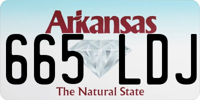 AR license plate 665LDJ