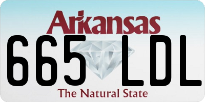 AR license plate 665LDL