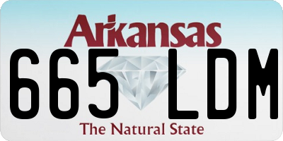 AR license plate 665LDM