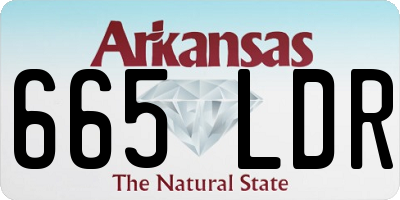 AR license plate 665LDR
