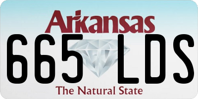 AR license plate 665LDS