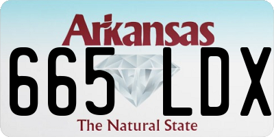 AR license plate 665LDX