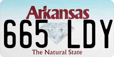 AR license plate 665LDY