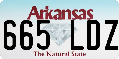 AR license plate 665LDZ