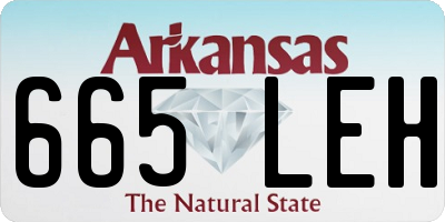 AR license plate 665LEH