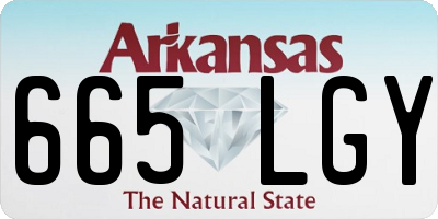 AR license plate 665LGY