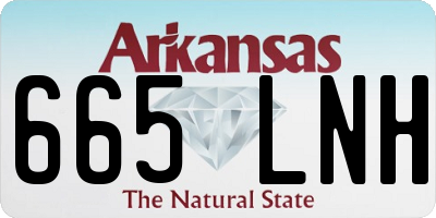 AR license plate 665LNH