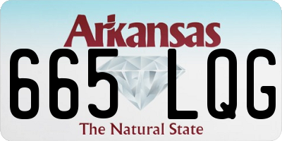 AR license plate 665LQG