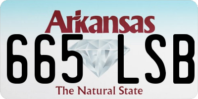 AR license plate 665LSB