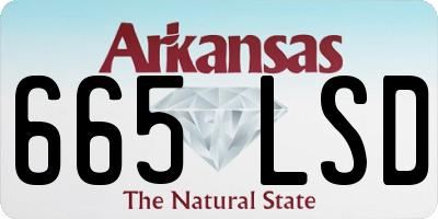 AR license plate 665LSD
