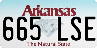 AR license plate 665LSE