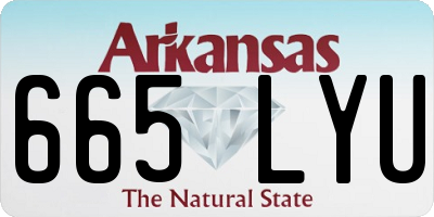 AR license plate 665LYU