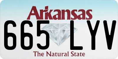 AR license plate 665LYV