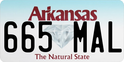 AR license plate 665MAL