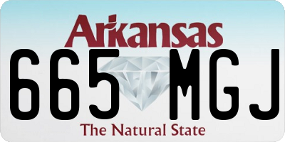 AR license plate 665MGJ