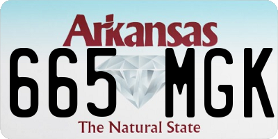 AR license plate 665MGK