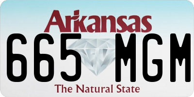 AR license plate 665MGM
