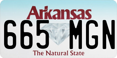 AR license plate 665MGN