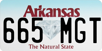AR license plate 665MGT
