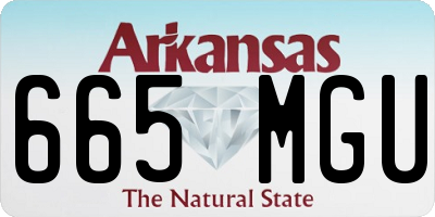 AR license plate 665MGU