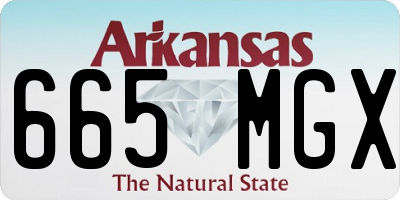 AR license plate 665MGX