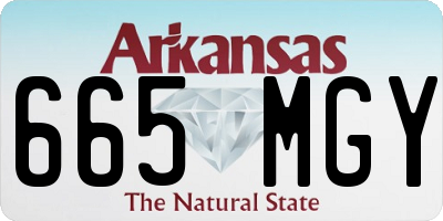 AR license plate 665MGY