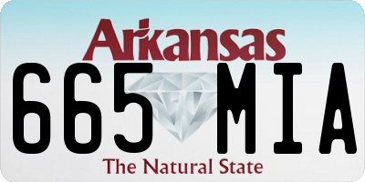 AR license plate 665MIA