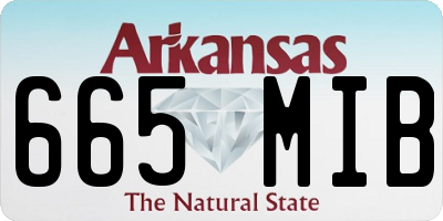 AR license plate 665MIB