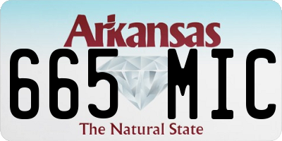 AR license plate 665MIC