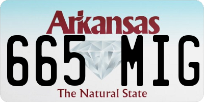AR license plate 665MIG
