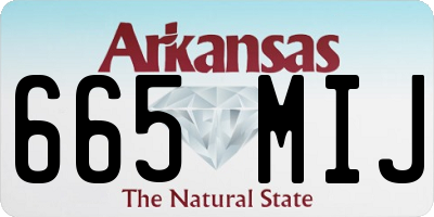 AR license plate 665MIJ